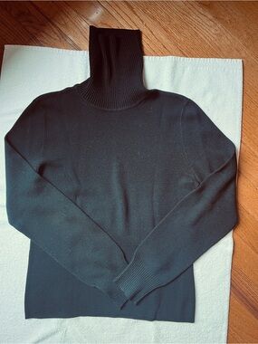 Dana Buchman Black Knit Turtleneck- L